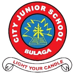 cityjuniorbulaga badge